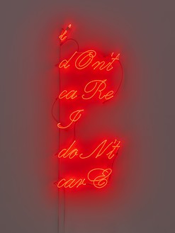 Douglas Gordon, i dOnt caRE I doNt carE, 2022 Neon, 100 × 40 inches (254 × 101.6 cm)© Studio lost but found/VG Bild-Kunst, Bonn, Germany 2022. Photo: Prudence Cuming Associates Ltd