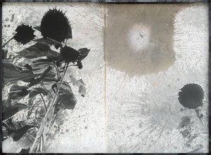 Anselm Kiefer, Les Fleurs du Mal (The Flowers of Evil), 1994–2012. Gelatin silver print with silver toner, in steel frame, 55 ½ × 75 ¼ × 4 inches (141 × 191 × 10 cm) © Anselm Kiefer. Photo: Charles Duprat
