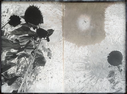 Anselm Kiefer, Les Fleurs du Mal (The Flowers of Evil), 1994–2012 Gelatin silver print with silver toner, in steel frame, 55 ½ × 75 ¼ × 4 inches (141 × 191 × 10 cm)© Anselm Kiefer. Photo: Charles Duprat