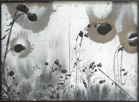 Anselm Kiefer, Les Fleurs du Mal (The Flowers of Evil), 1994–2012 Gelatin silver print with silver toner, in steel frame, 55 ½ × 75 ¼ × 4 inches (141 × 191 × 10 cm)© Anselm Kiefer. Photo: Charles Duprat