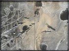 Abstract tinted gelatin silver print of sunflowers