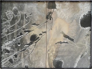 Anselm Kiefer, Les Fleurs du Mal (The Flowers of Evil), 1994–2012. Solarized gelatin silver print with silver toner, in steel frame, 55 ½ × 75 ¼ × 4 inches (141 × 191 × 10 cm) © Anselm Kiefer. Photo: Charles Duprat
