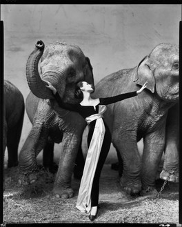 Richard Avedon, Dovima with elephants, evening dress by Dior, Cirque d’Hiver, Paris, August 1955, 1955 © The Richard Avedon Foundation