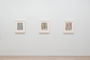 Installation view. Artwork © 2023 Estate of Brice Marden/Artists Rights Society (ARS), New York. Photo: Rob McKeever