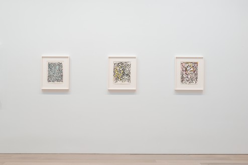 Installation view Artwork © 2023 Estate of Brice Marden/Artists Rights Society (ARS), New York. Photo: Rob McKeever