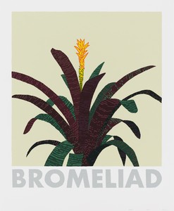 Jonas Wood, Bromeliad, 2020. 13-color screen print on Rising museum board, 28 × 23 inches (71.1 × 58.4 cm), edition of 200 + 25 AP © Jonas Wood