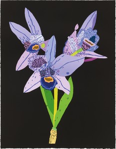 Jonas Wood, Dog-Faced Purple Orchid, 2022. 41-color lithograph on white Rives BFK paper, 31 ¼ × 24 inches (79.4 × 61 cm), edition 1 of 40 © Jonas Wood