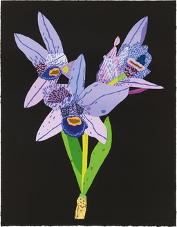 Jonas Wood, Dog-Faced Purple Orchid, 2022 41-color lithograph on white Rives BFK paper, 31 ¼ × 24 inches (79.4 × 61 cm), edition 1 of 40© Jonas Wood