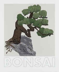 Jonas Wood, Bonsai, 2022. 13-color screen print on Rising museum board, 28 × 23 inches (71.1 × 58.4 cm), edition of 200 + 25 AP © Jonas Wood