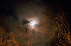Nan Goldin, Full moon over Bois de Vincennes, Paris, 2004. Archival pigment print, 40 × 60 inches (101.6 × 152.4 cm), edition of 3 © Nan Goldin