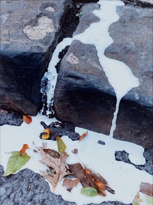 Roe Ethridge, Spilled Milk, 2022. Dye sublimation print on aluminum, 34 × 30 inches (86.4 × 76.2 cm), edition of 5 + 2 AP © Roe Ethridge