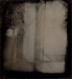 Sally Mann, Tintype, Still Life #18, 2020. Collodion wet-plate positive on anodized aluminum with sandarac varnish, 15 × 13 ½ inches (38.1 × 34.3 cm), unique © Sally Mann