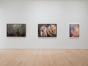 Installation view. Artwork, left to right: © Catherine Opie, © Nan Goldin, © Marilyn Minter. Photo: Jeff McLane