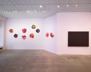 Installation view. Artwork, left to right: © 2024 Helen Marden/Artists Rights Society (ARS), New York; © 2024 Estate of Brice Marden/Artists Rights Society (ARS), New York. Photo: Owen Conway