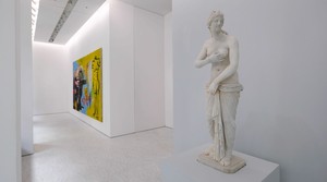 Installation video