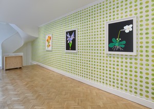 Installation view. Artwork © Jonas Wood. Photo: Prudence Cuming Associates Ltd