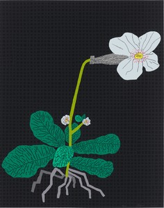 Jonas Wood White Flower with Grid, 2024. 16-color screen print on Somerset satin radiant white paper, 29 ⅞ × 23 ⅝ inches (75.9 × 60 cm), edition of 100 + 20 AP © Jonas Wood