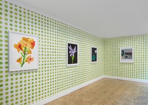 Installation view. Artwork © Jonas Wood. Photo: Prudence Cuming Associates Ltd