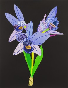 Jonas Wood Dog-Faced Purple Orchid, 2022. 41-color lithograph on white Rives BFK paper, 31 ¼ × 24 inches (79.4 × 61 cm), edition of 40 + 14 AP © Jonas Wood. Photo: Christopher Burke