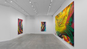 Installation video
