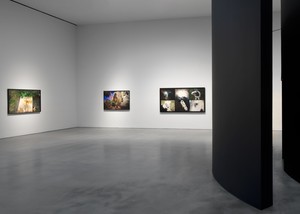 Installation view. Artwork © Nan Goldin. Photo: Maris Hutchinson