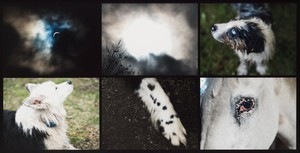 Nan Goldin The paw, eclipse, 2024. Archival pigment print, in frame, 50 ¼ × 96 ⅛ × 2 ⅜ inches (127.5 × 244 × 6 cm), edition of 3 + 2 AP © Nan Goldin