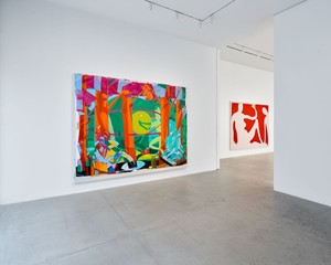 Installation view. Artwork © Spencer Sweeney. Photo: Owen Conway