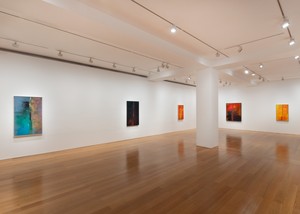 Installation view. Artwork © Sterling Ruby. Photo: Ringo Cheung