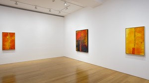 Installation video