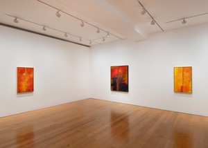 Installation view. Artwork © Sterling Ruby. Photo: Ringo Cheung