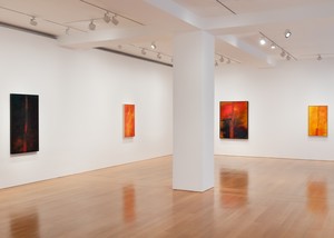 Installation view. Artwork © Sterling Ruby. Photo: Ringo Cheung