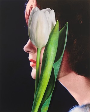 Profile of a brunette woman on a dark blue background with a single white tulip obscuring her eye