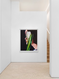 Installation view with Urs Fischer, White Tulip (2024) Artwork © Urs Fischer. Photo: Stefan Altenburger