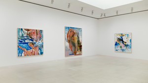 Installation video