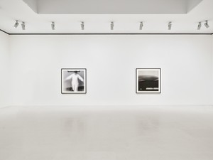 Installation view. Photo: Thomas Lannes