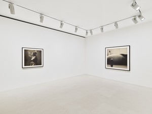 Installation view. Photo: Thomas Lannes