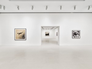 Installation view. Photo: Thomas Lannes