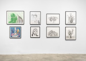 Installation view. Artwork © Jim Shaw. Photo: Maris Hutchinson