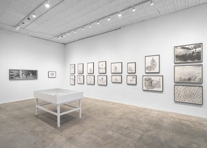Installation view. Artwork © Jim Shaw. Photo: Maris Hutchinson