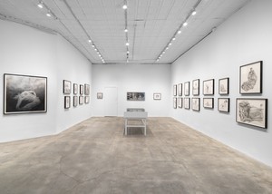 Installation view. Artwork © Jim Shaw. Photo: Maris Hutchinson