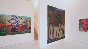 Installation video