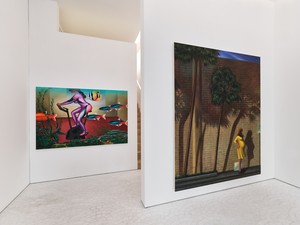 Installation view. Artwork © Julie Curtiss. Photo: Thomas Lannes