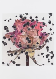 Maurizio Cattelan BEES, 2025. Watercolor on paper, 19 ¾ × 27 ⅝ inches (50 × 70 cm) © Maurizio Cattelan. Photo: Prudence Cuming Associates Ltd