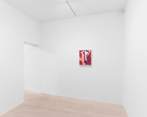 Installation view with Andy Warhol, Camouflage (1986). Artwork © 2025 The Andy Warhol Foundation for the Visual Arts, Inc./Artists Rights Society (ARS), New York. Photo: Owen Conway