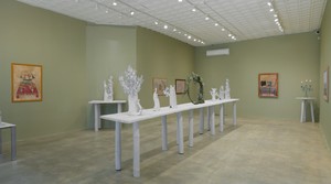 Installation video