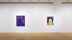 Installation video