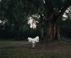 Tyler Mitchell Pony, 2024. Archival pigment print, 19 ⅜ × 24 inches (49.2 × 61 cm), edition of 3 + 2 AP © Tyler Mitchell