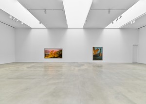 Installation view. Artwork © Walton Ford. Photo: Owen Conway