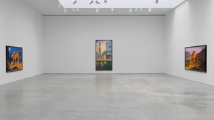 Installation video