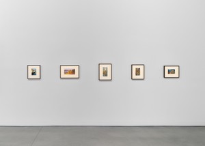 Installation view. Artwork © Walton Ford. Photo: Owen Conway